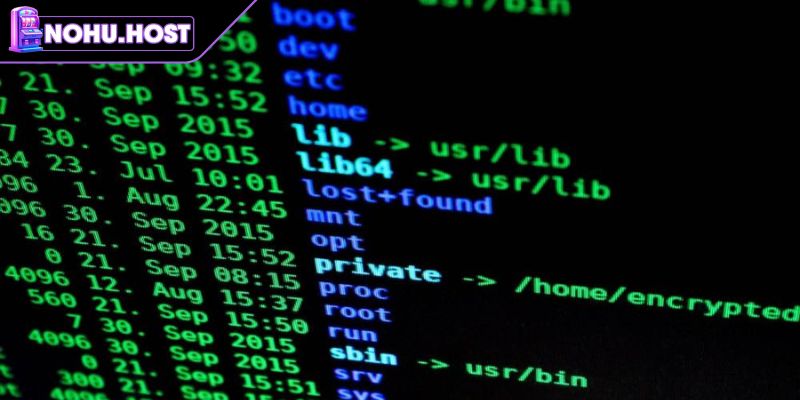 Nguyên lý của tool hack nổ hũ